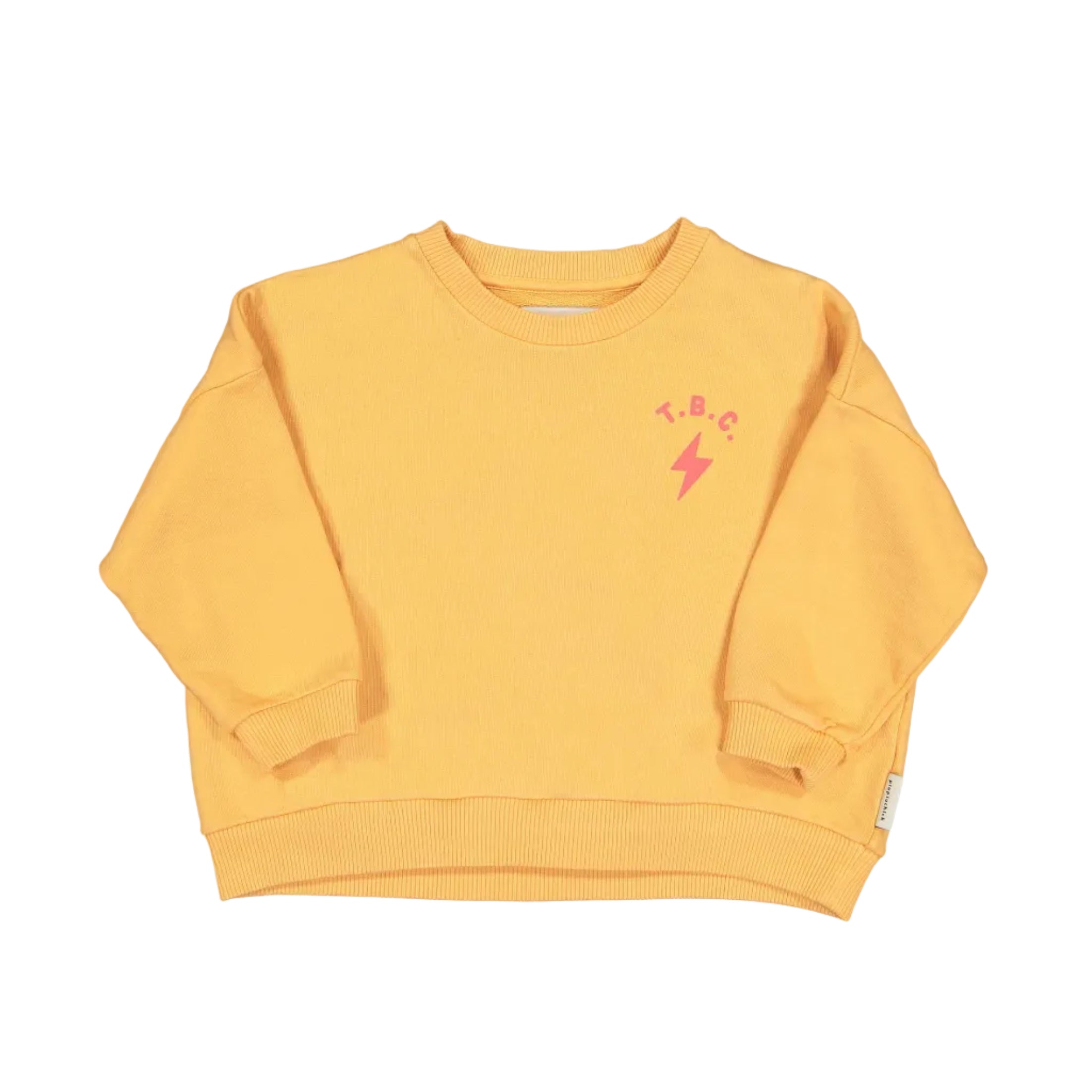 Piupiuchick unisex sweatshirt | mango "backyard club" print